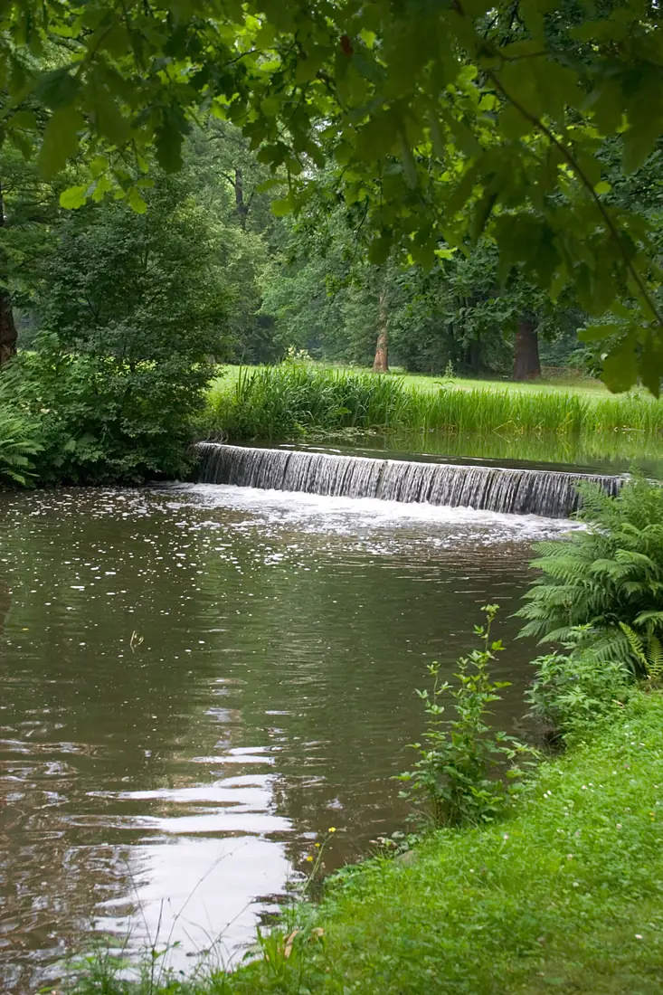 Park Muzakowski1