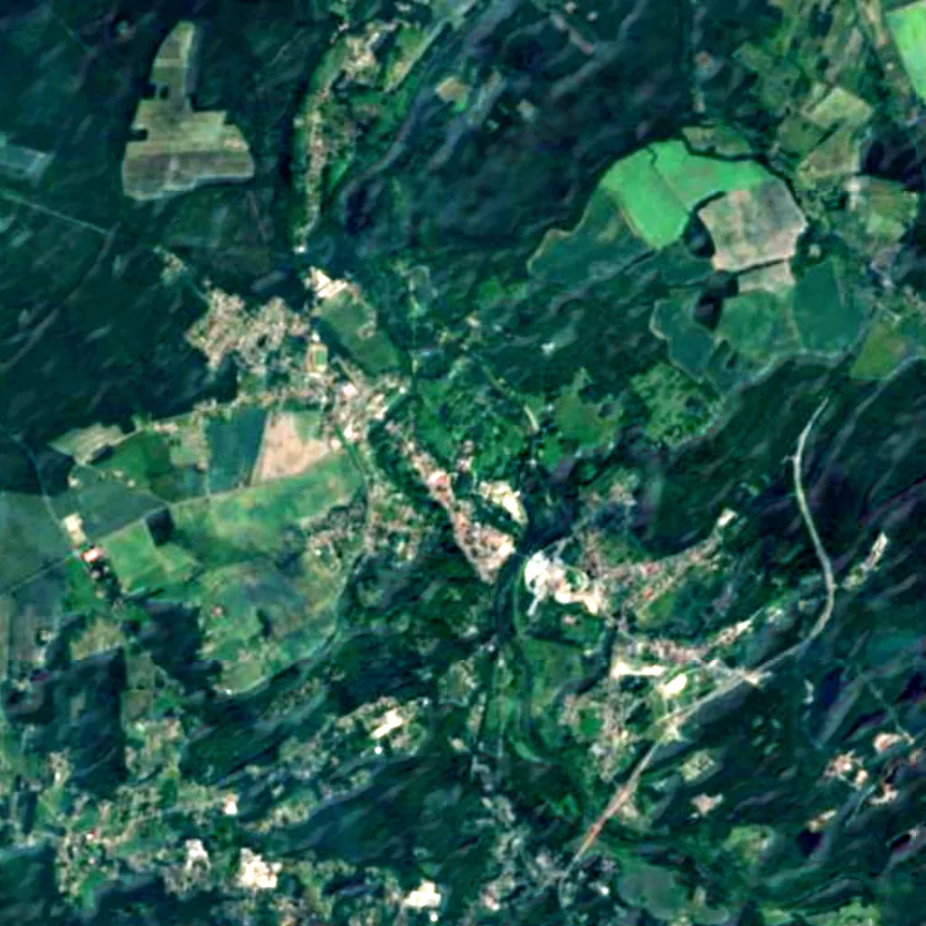 Muskau Park seen from above (Sentinel-2)