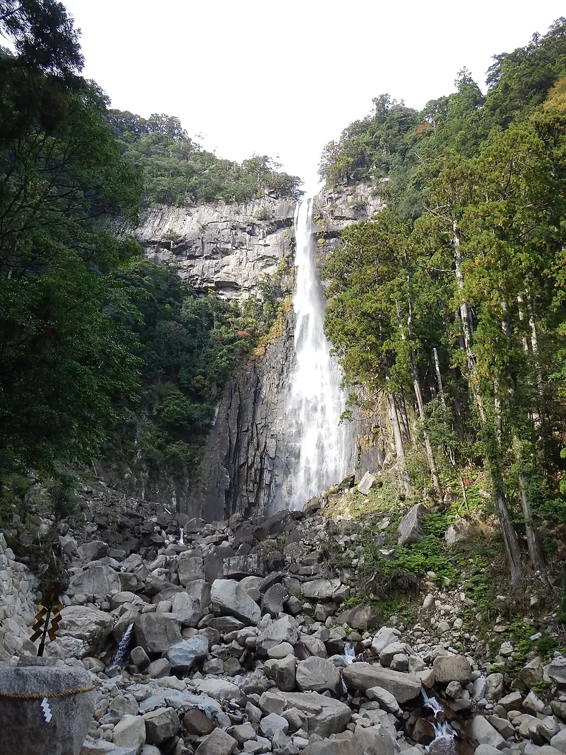 Daimonzaka8562