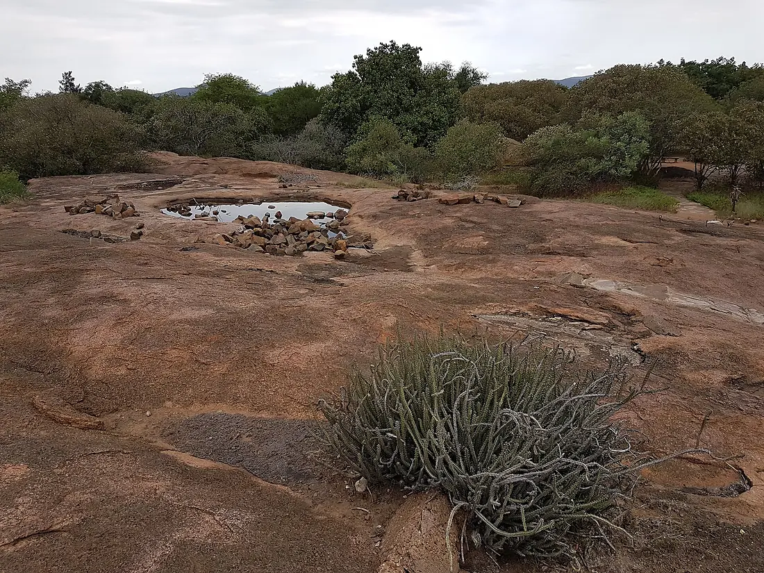 Botswana National Botanical Garden 1