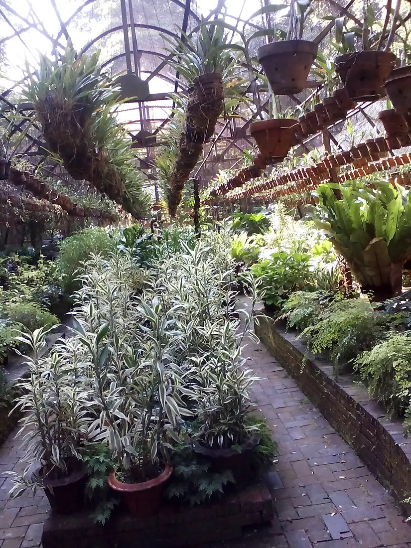 Orchid House at Bangladesh National Botanical Garden Mirpur