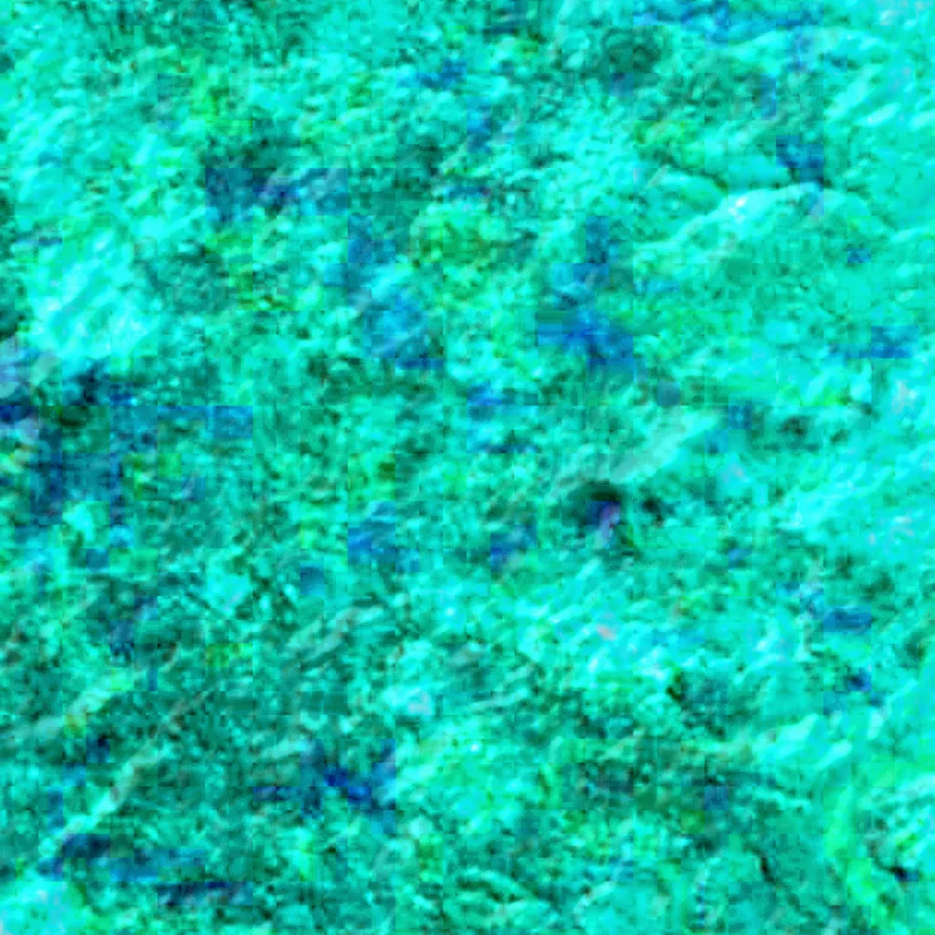 National Forest Tapajós seen from above (Sentinel-2)