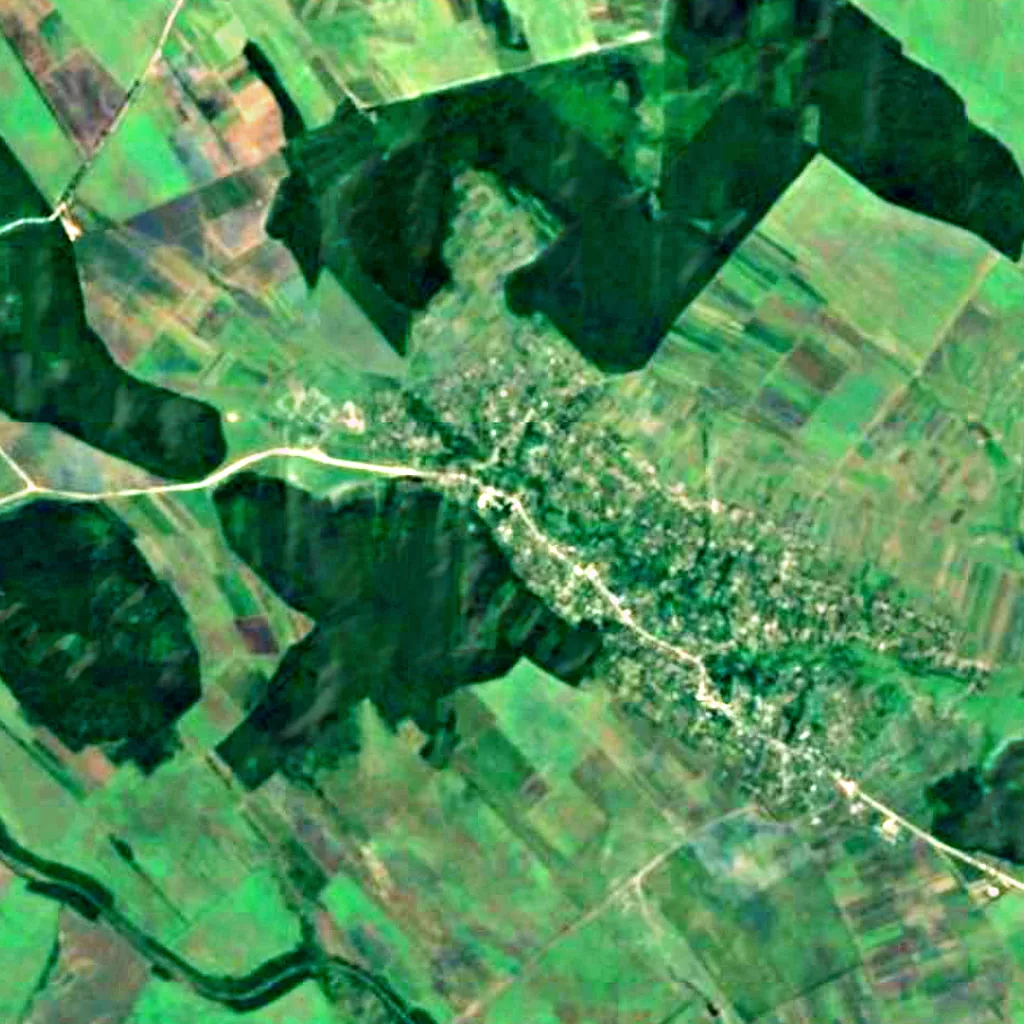 Oak of Stephen the Great in Cobîlea seen from above (Sentinel-2)