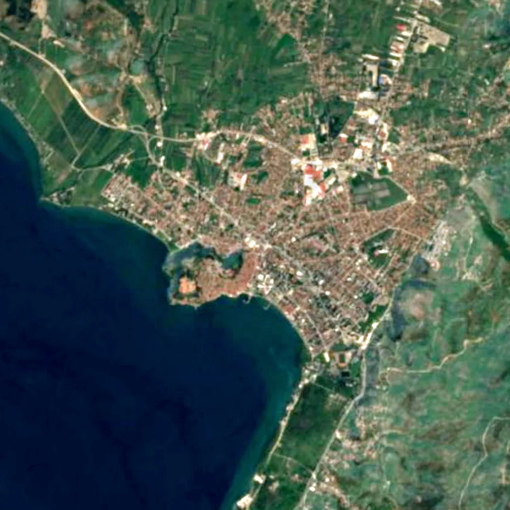 Ohrid plane tree seen from above (Sentinel-2)
