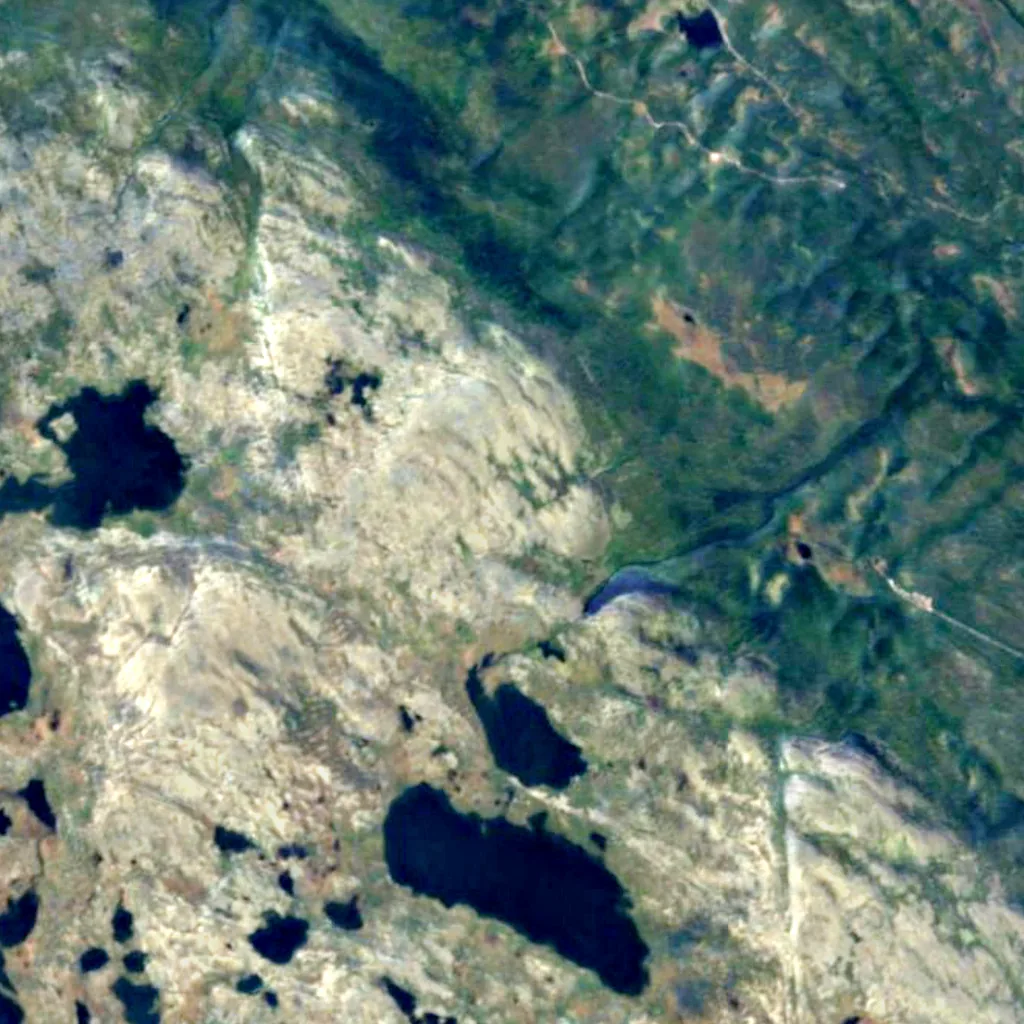 Old Tjikko seen from above (Sentinel-2)