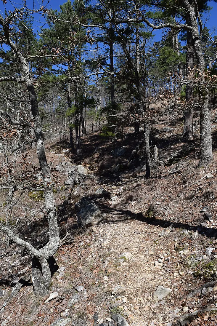 Athens-Big Fork Trail 2