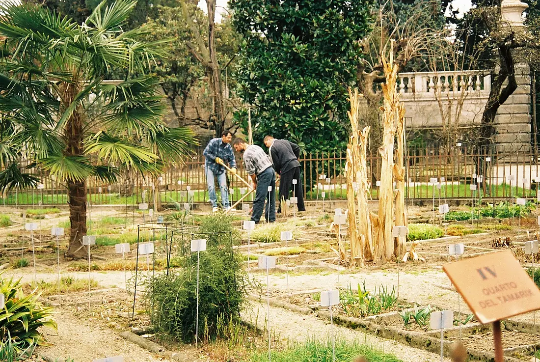 Botanical Garden (Orto Botanico), Padua-112027