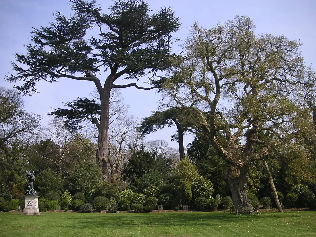 At Painshill 2025 022