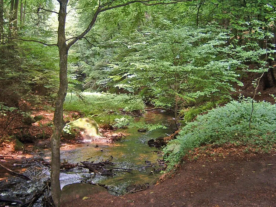 Karlstal 009 edited