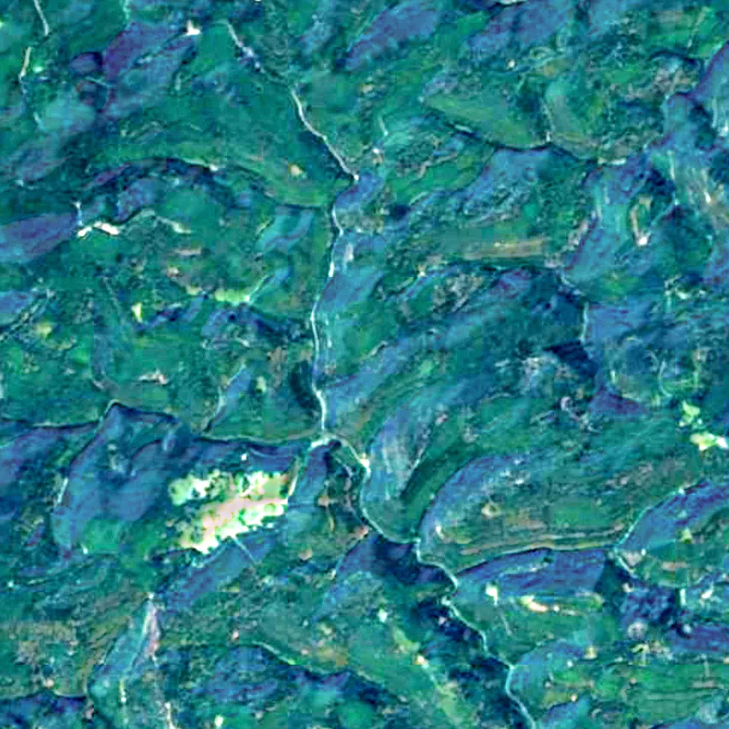 Palatinate Forest seen from above (Sentinel-2)
