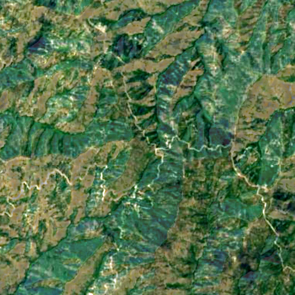 Paphos Forest seen from above (Sentinel-2)