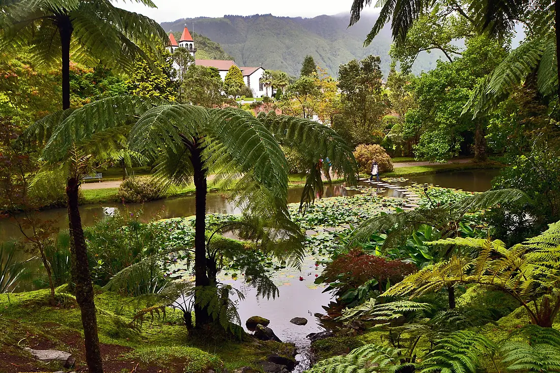 Terra Nostra-Acores