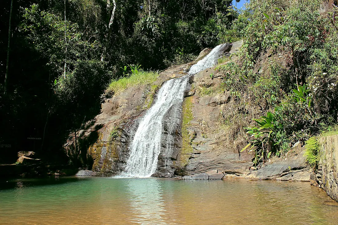 Floresta Municipal Passa Quatro 03