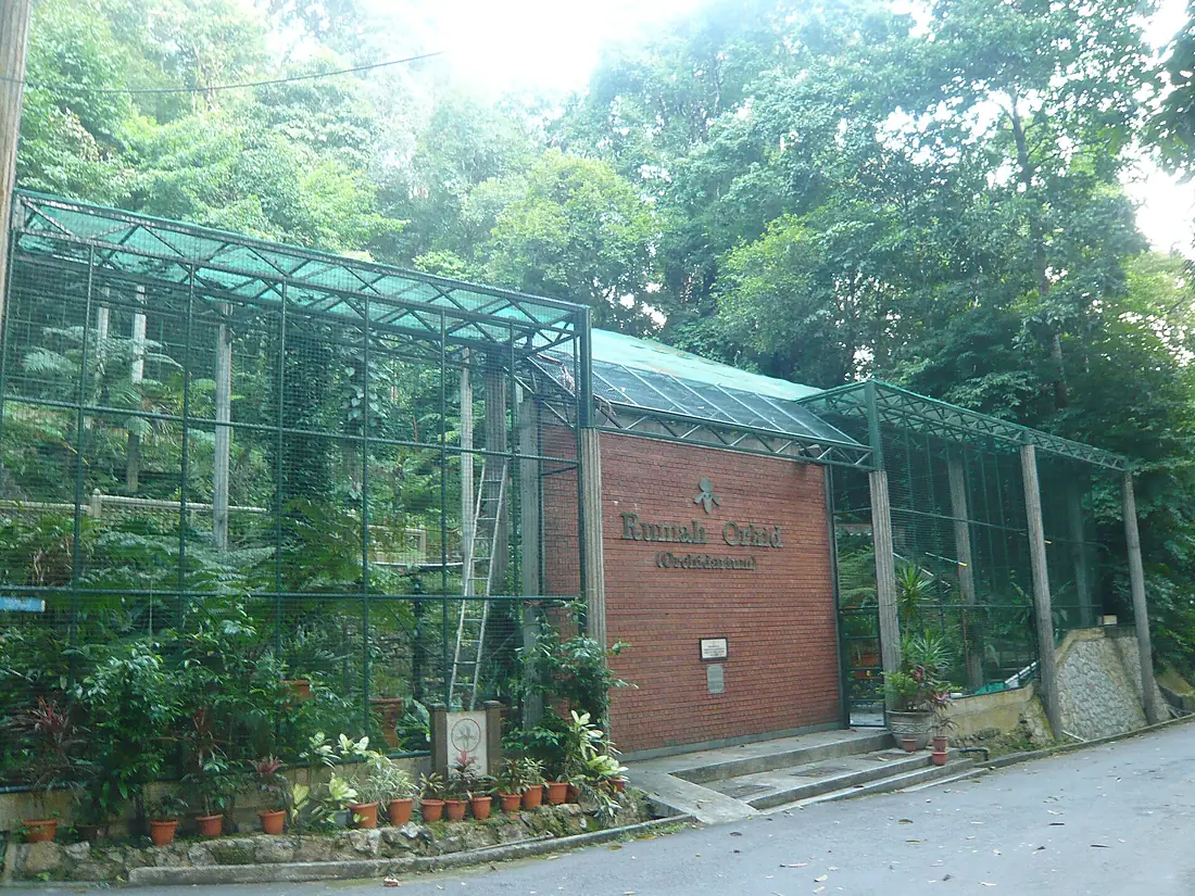 Pg botanic gardens orchidarium