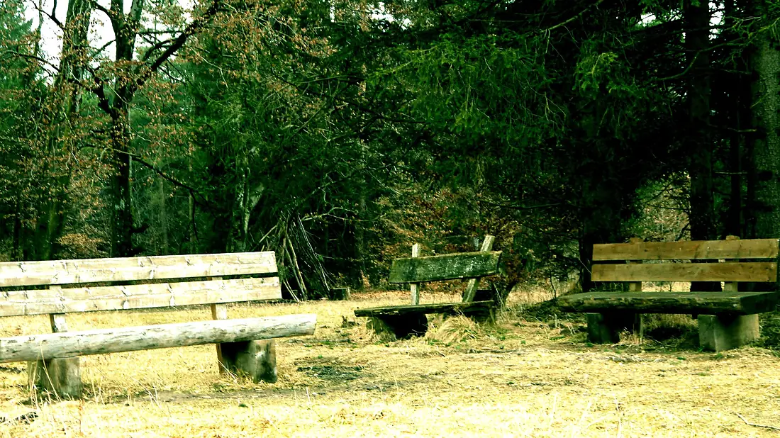 Benches at Perlacher Forst