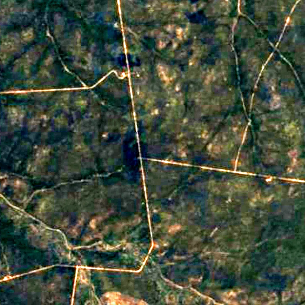 Pilliga forest seen from above (Sentinel-2)
