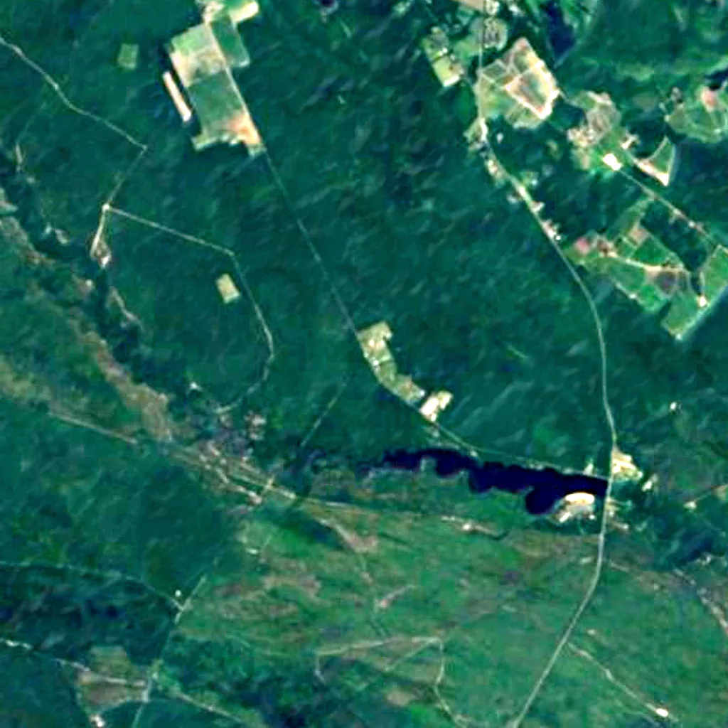 Pine Barrens seen from above (Sentinel-2)