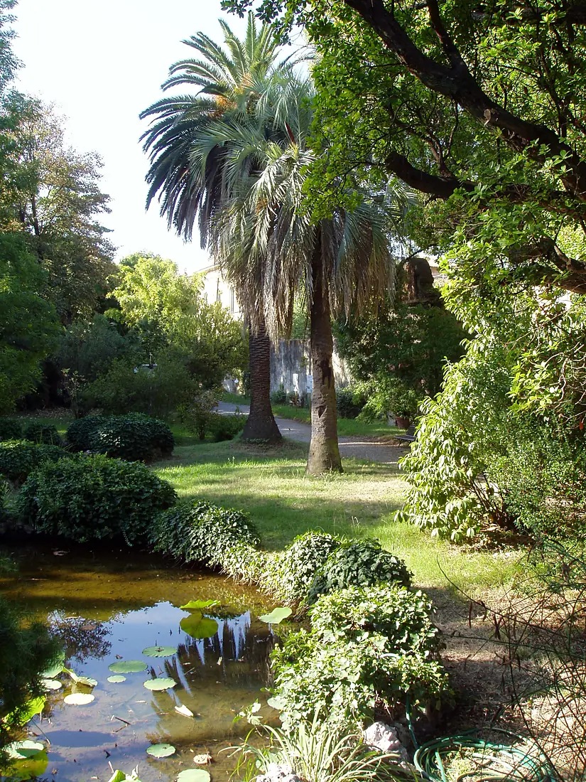 Orto botanico di Pisa - general view