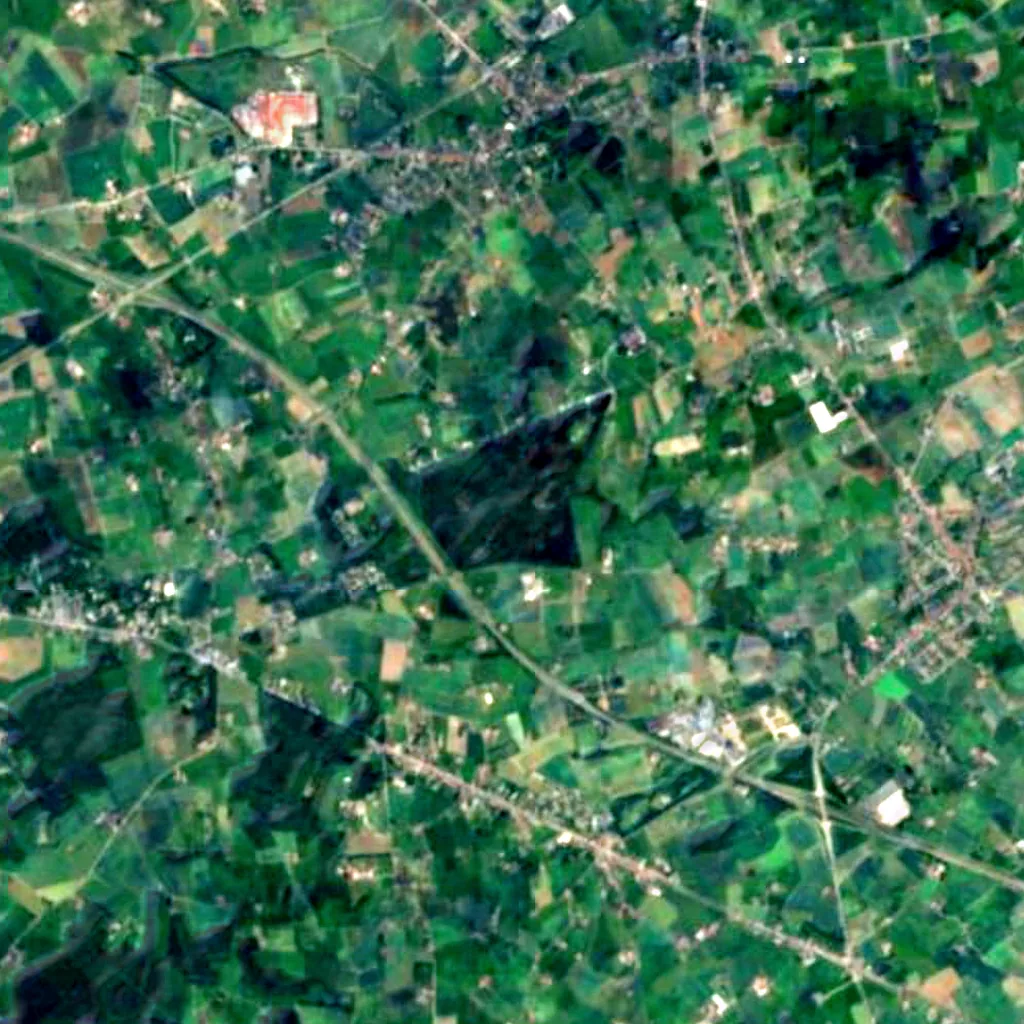 Polygon Wood, Zonnebeke seen from above (Sentinel-2)