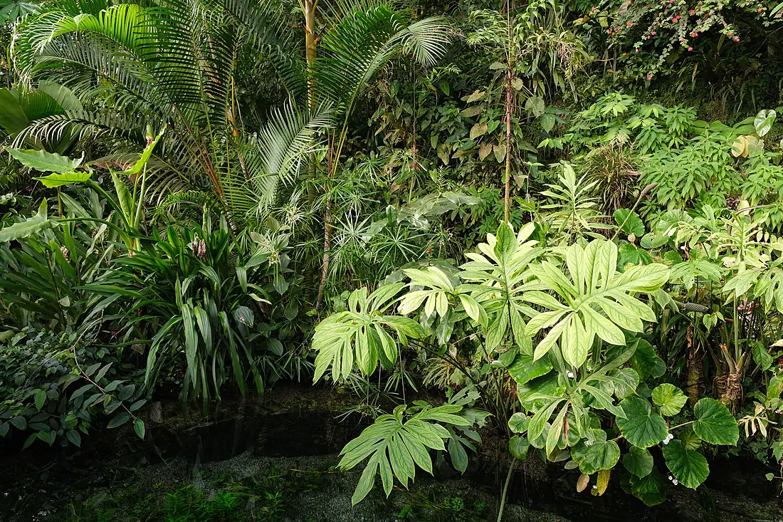 Botanic Garden - panoramio