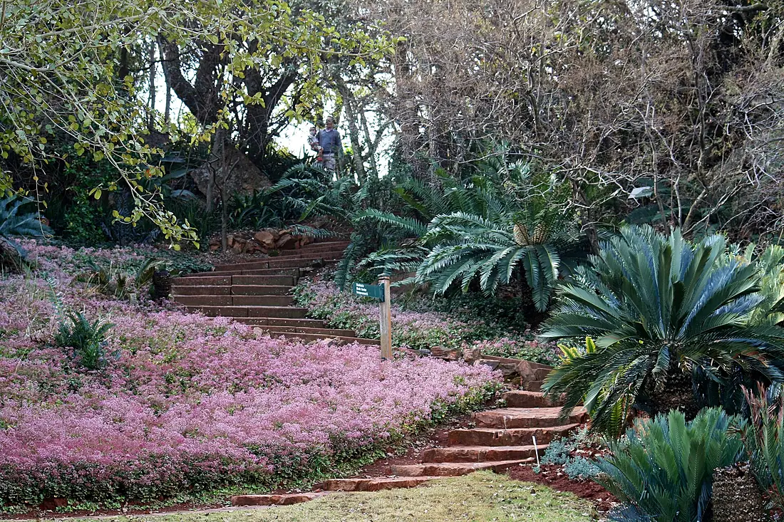Pretoria Botanical Gardens-001
