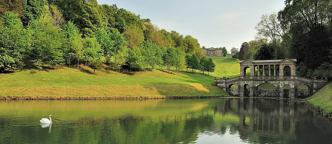 Palladian Wide Swan