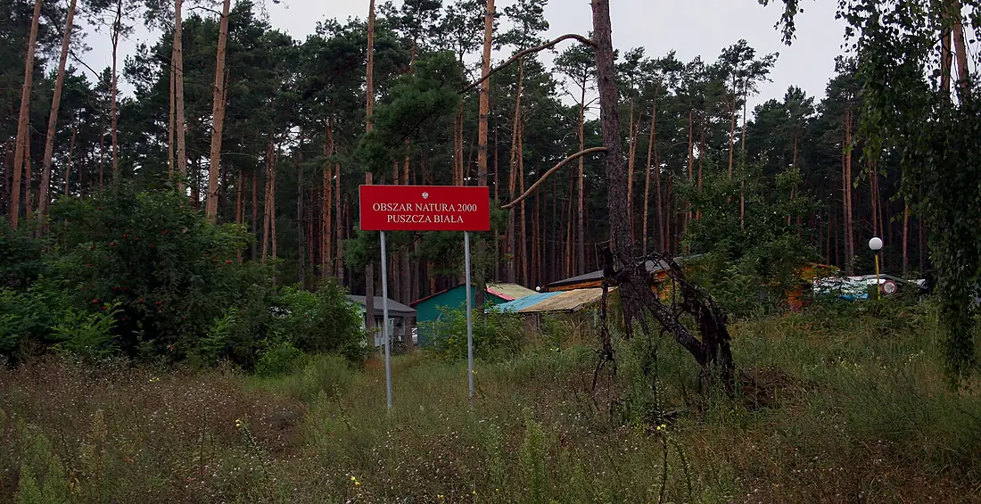 Brok Natura 2000 Puszcza Biała 30.07.2012 p