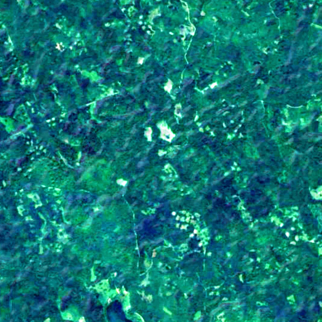 Puszcza Borecka seen from above (Sentinel-2)