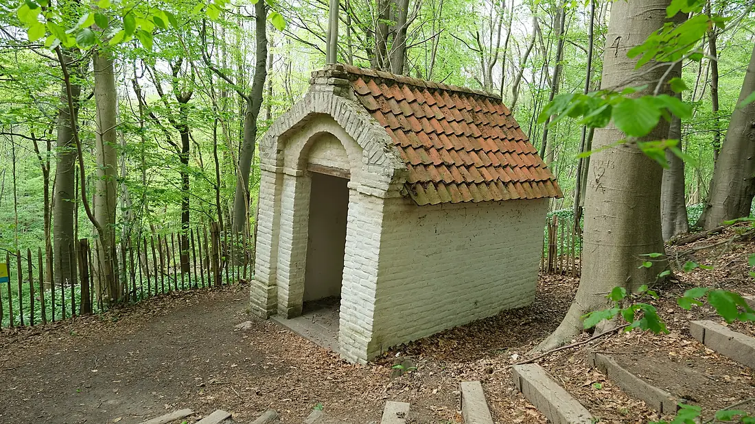 Geraardsbergen - Kapellestraat - Raspaillebos, Moerbekebos en Karkoolbos (2021-05-10 16-44-36