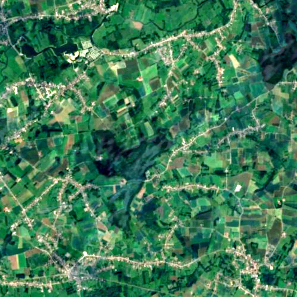 Raspaillebos seen from above (Sentinel-2)