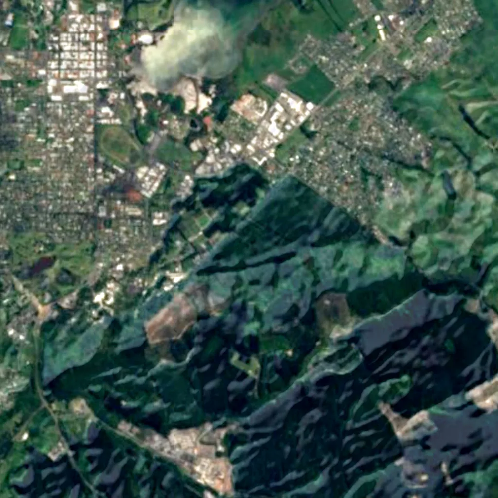 Redwoods Forest seen from above (Sentinel-2)