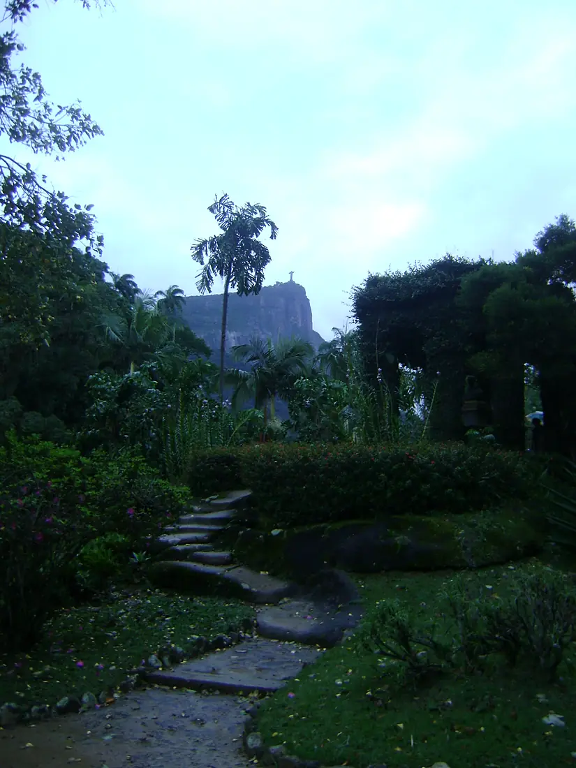 ChristBotanicalView