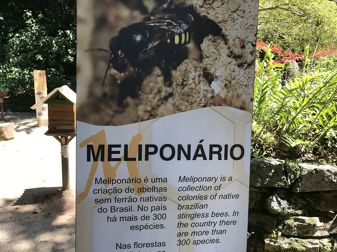 Botanical Garden Meliponario-Rio de Janeiro