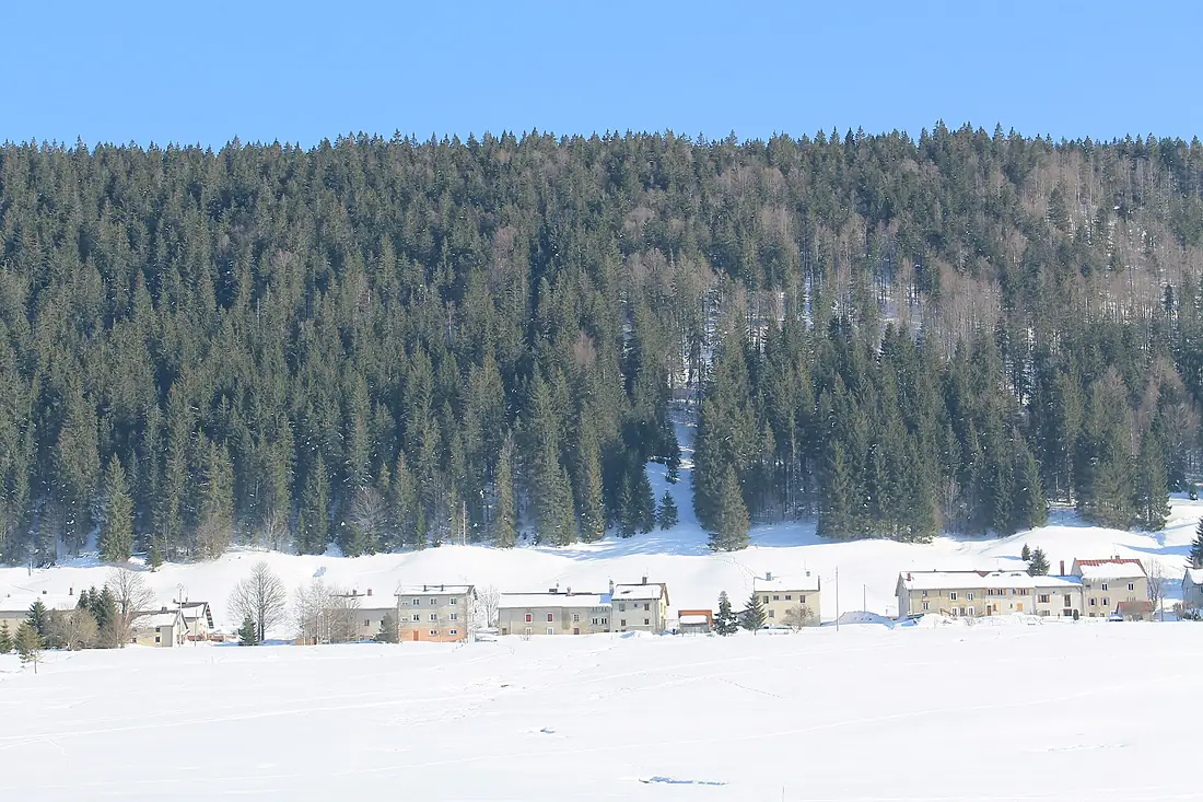 Bois-d'Amont - panoramio (42)