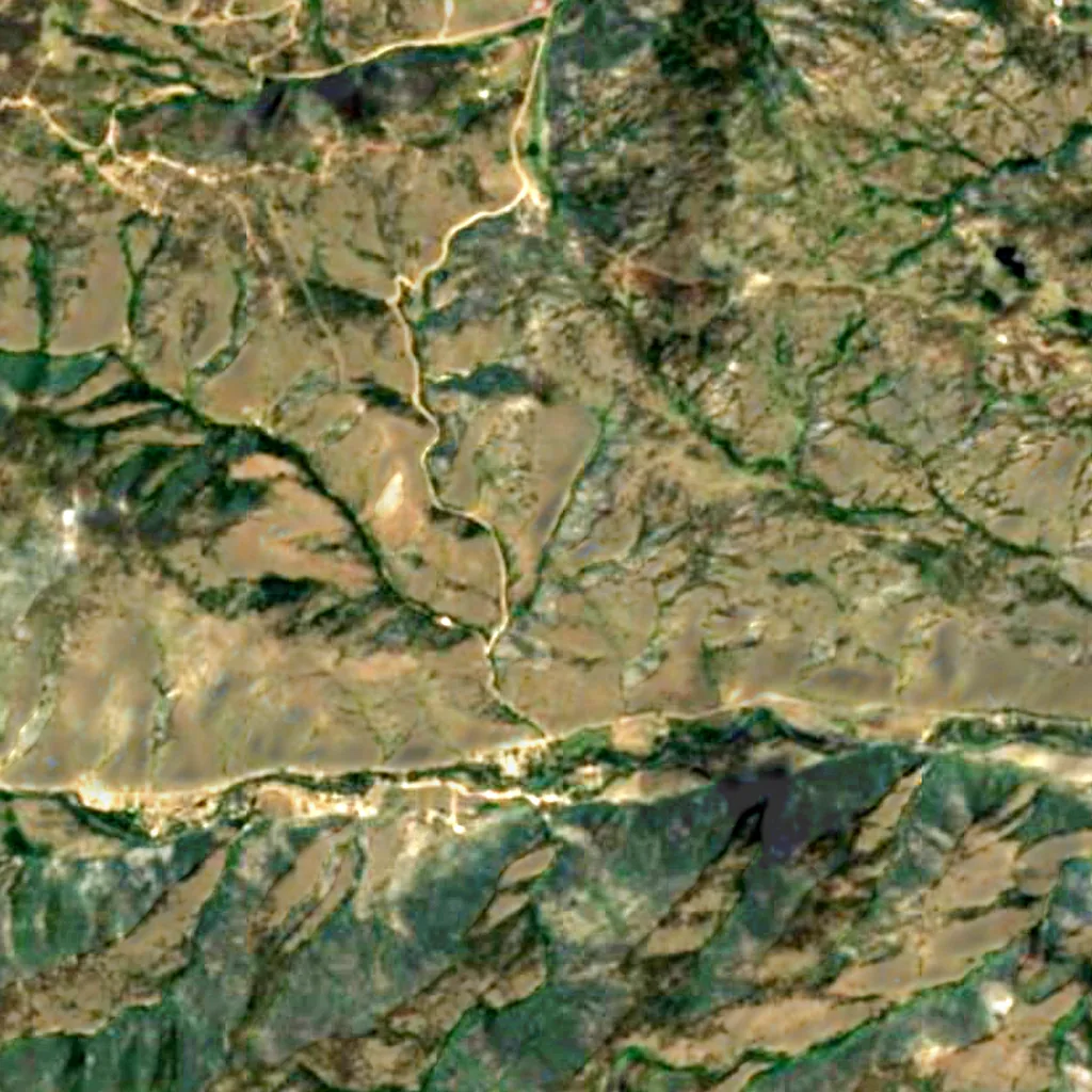 Roosevelt National Forest seen from above (Sentinel-2)