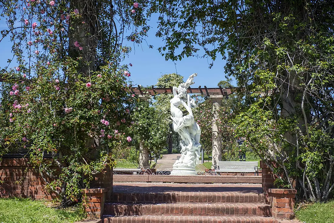 Entrega de esquejes de rosales en el Rosedal del Prado - 20230921dicimouyaf0008