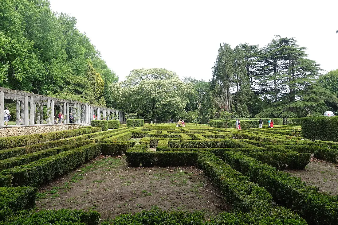 Roseiral Serralves (12)