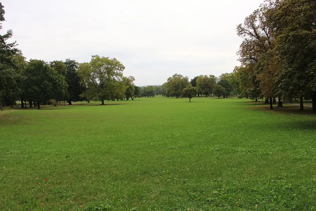 Baumbestand im Rosensteinpark