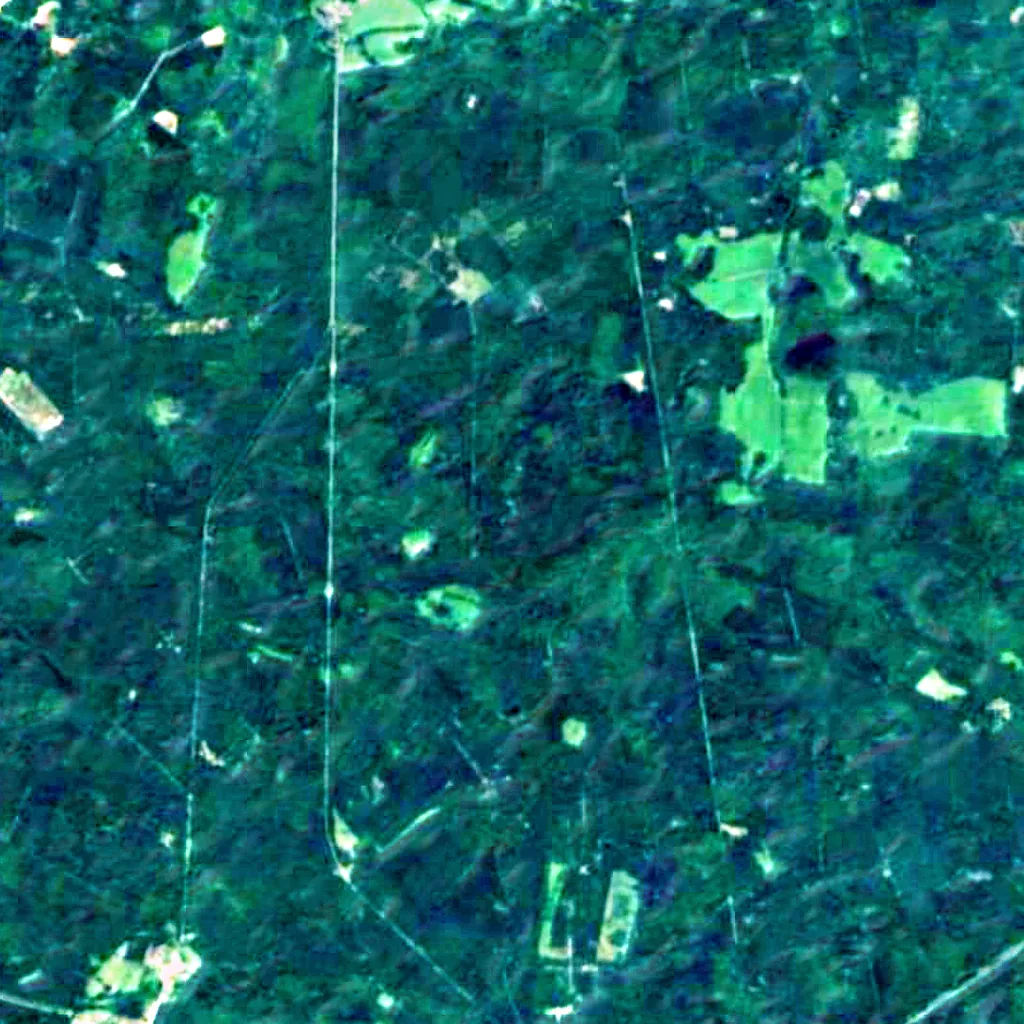 Rostock Heath seen from above (Sentinel-2)