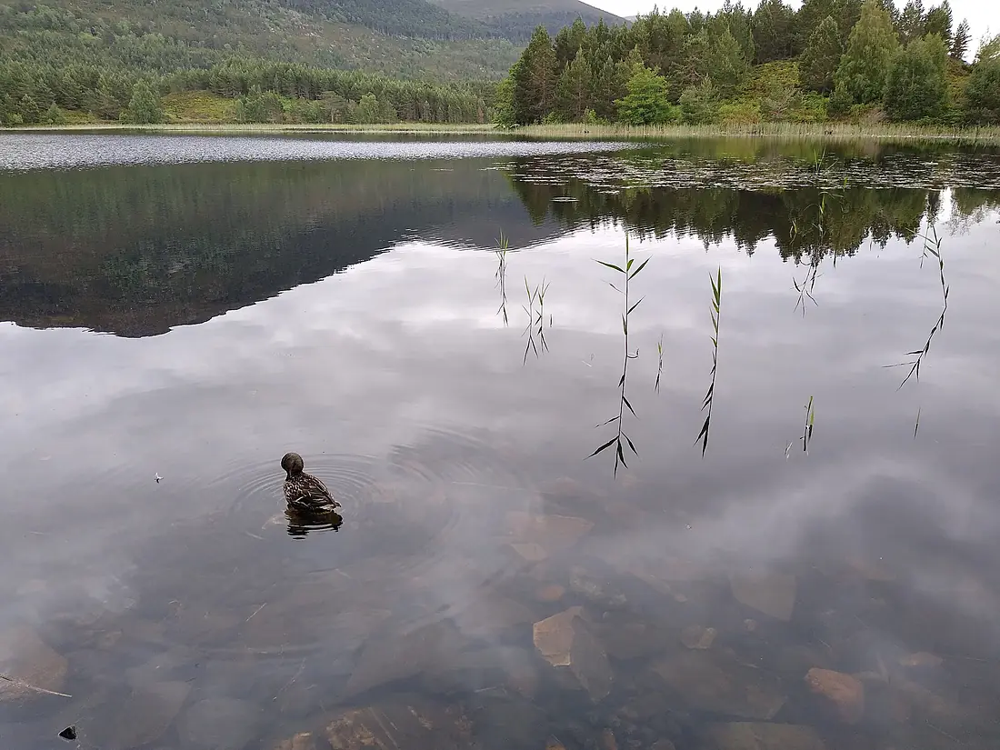 Loch Gamhna 2