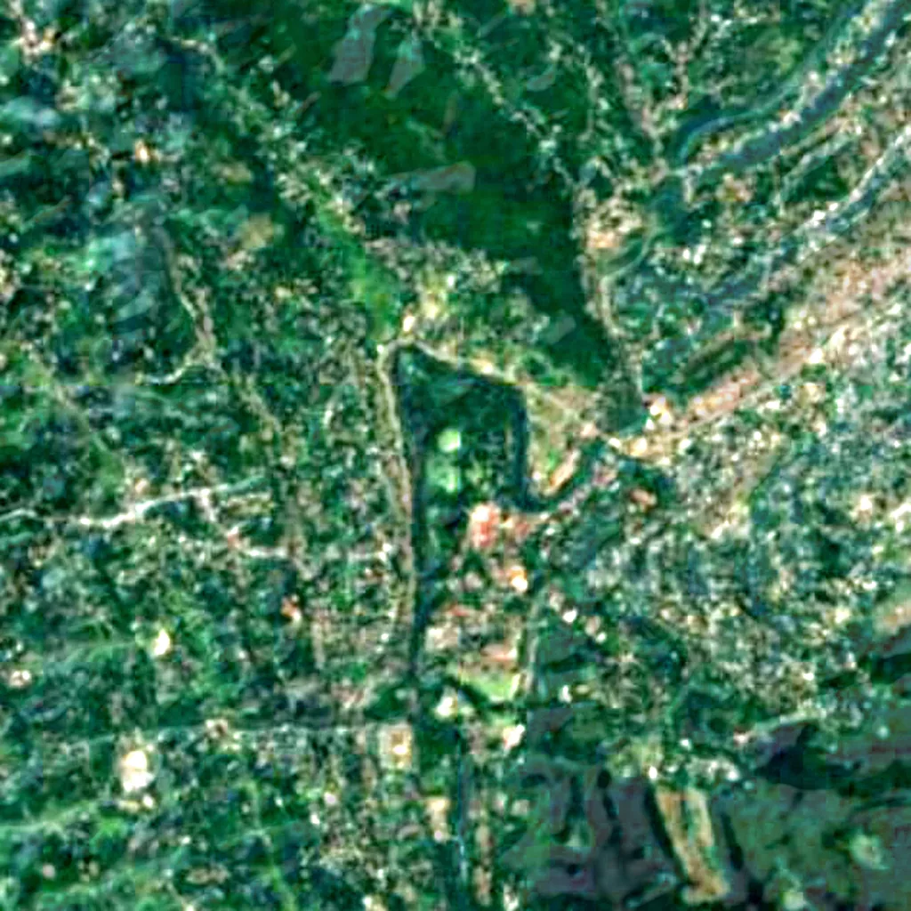 Royal Botanic Gardens, Peradeniya seen from above (Sentinel-2)