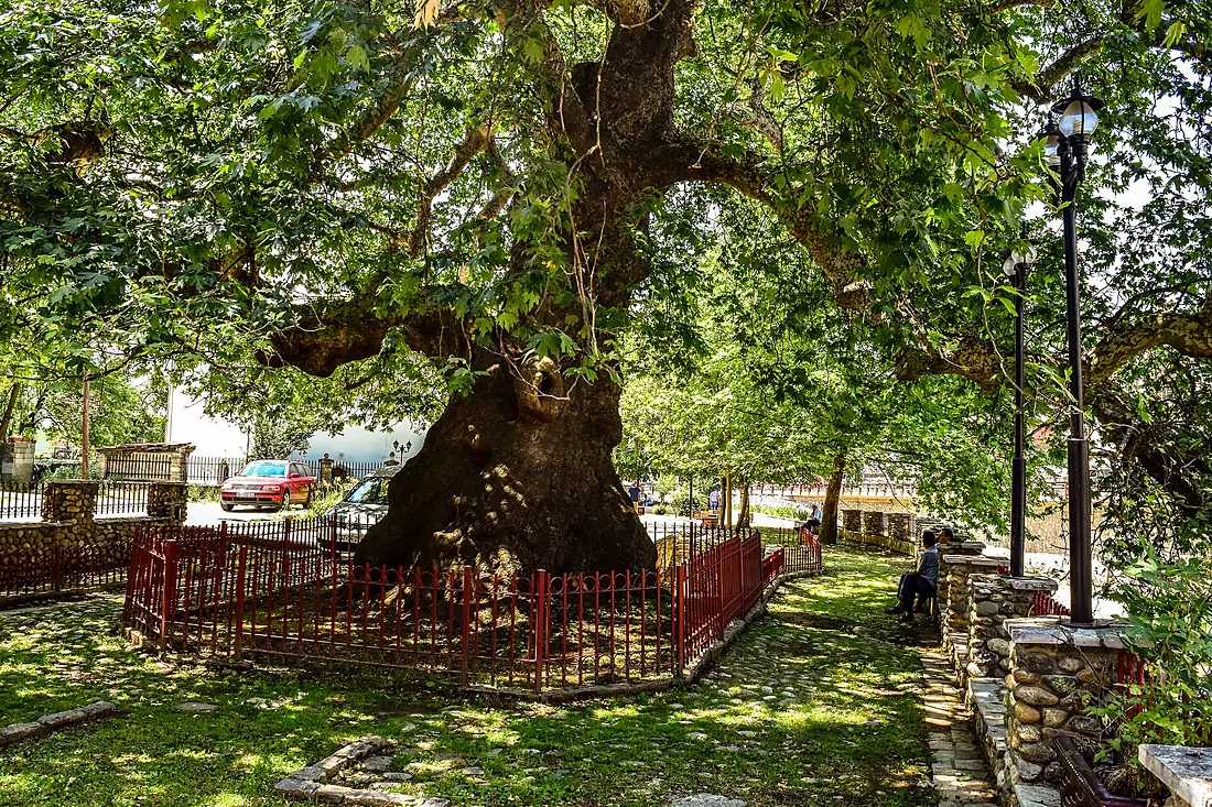 Rrapi Prizren6