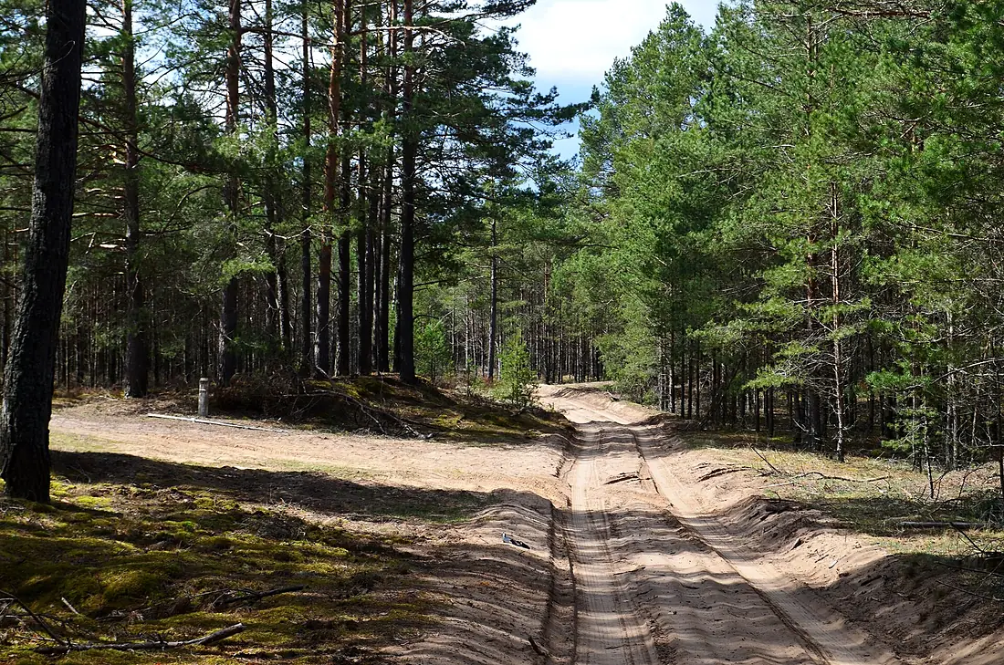 Rūdninkų giria, vakarinė dalis