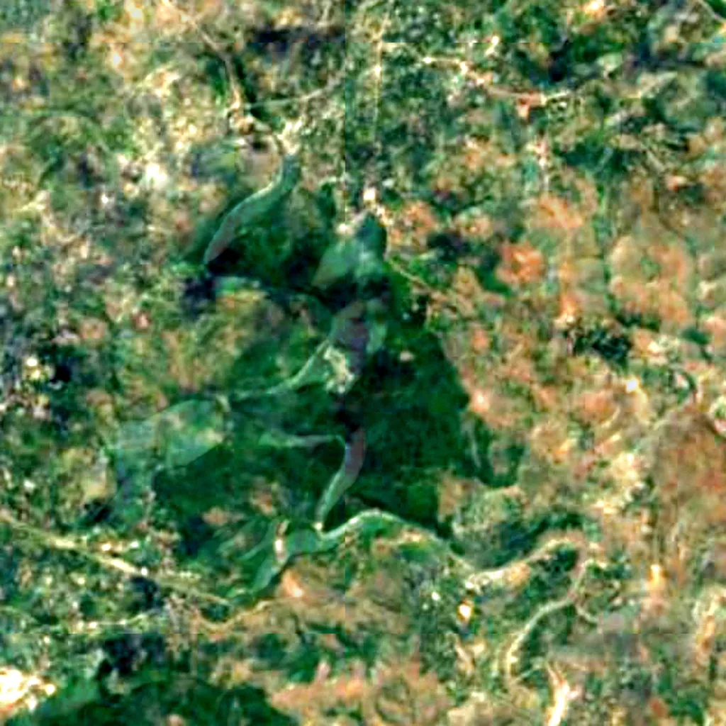 Sacred Mijikenda Kaya Forests seen from above (Sentinel-2)