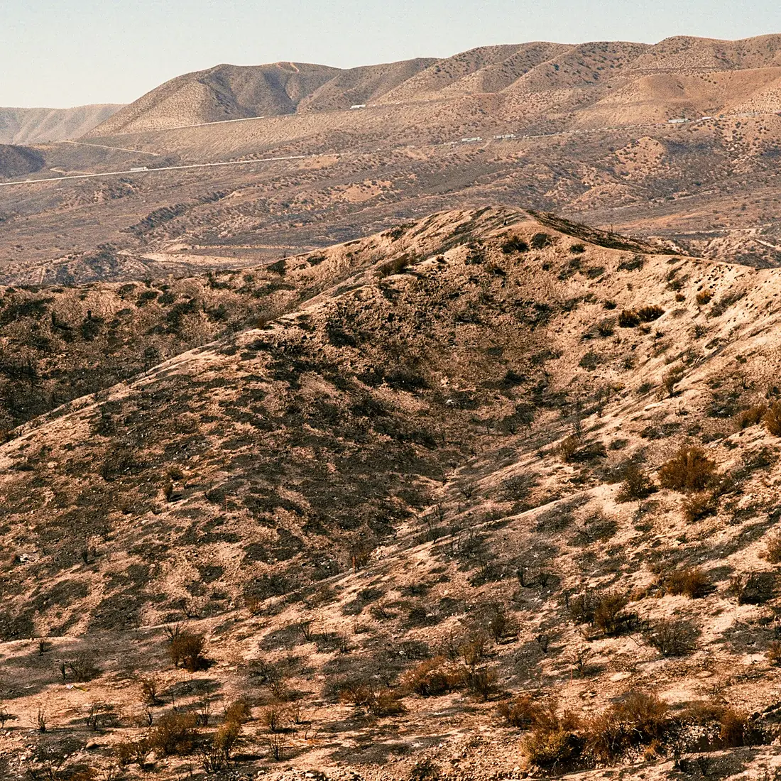 San Bernardino National Forest After Fire in 2016