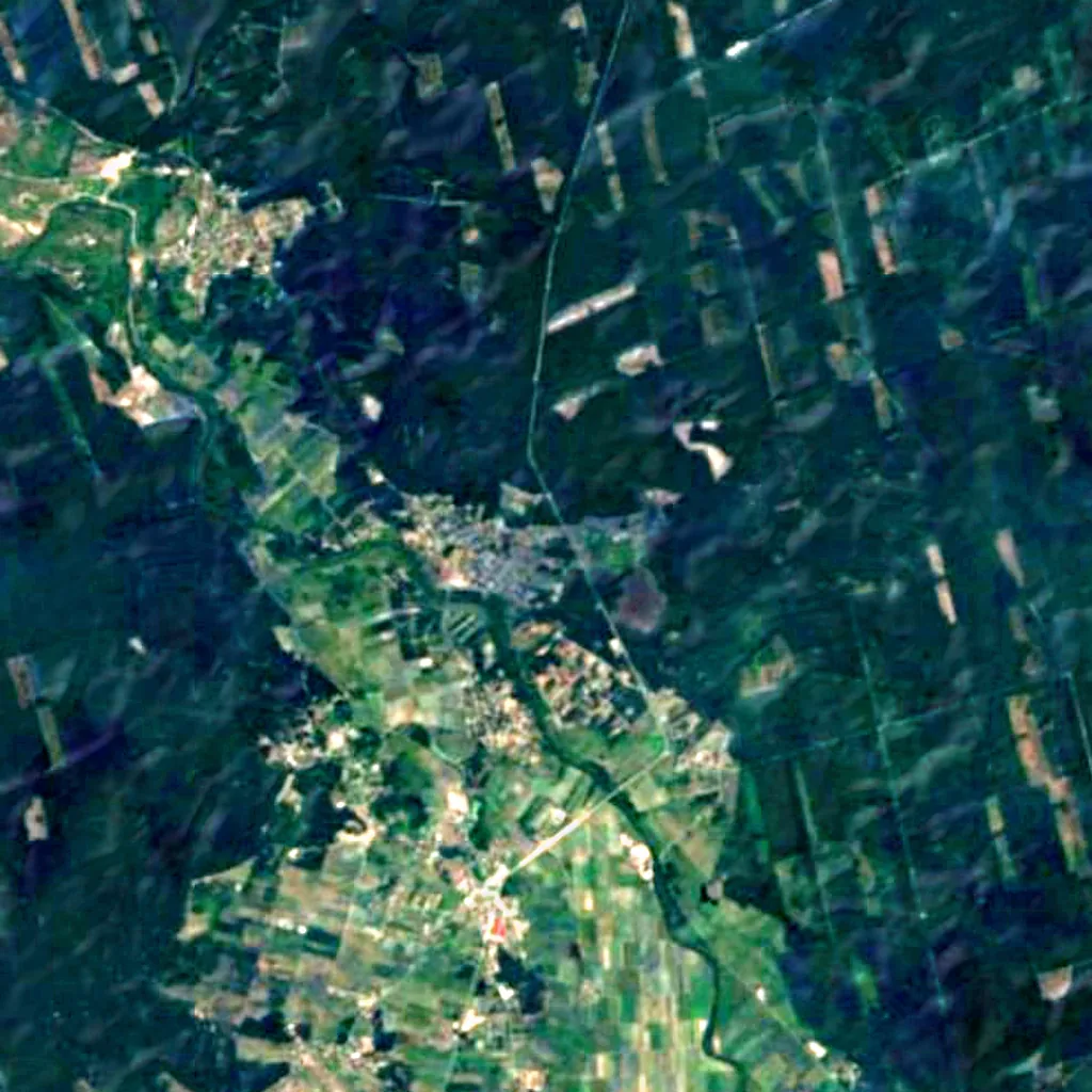 Sandomierz Wilderness seen from above (Sentinel-2)