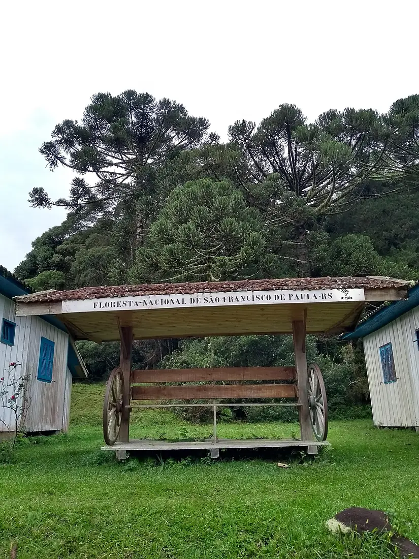 Funga de São Francisco de Paula 12
