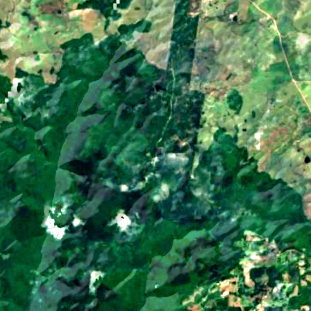 São Francisco de Paula National Forest seen from above (Sentinel-2)
