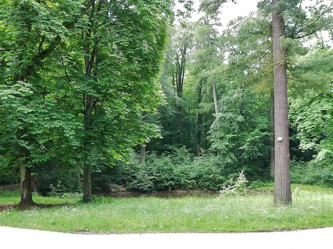 Historisches Wildgehege im Schurwald von Herzog Eberhard - panoramio
