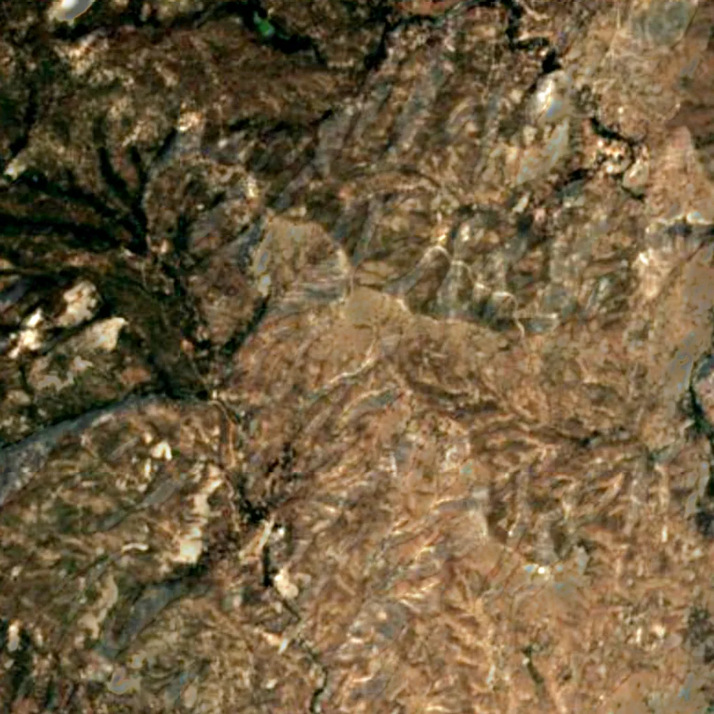 Sequoia National Forest seen from above (Sentinel-2)